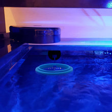 Load image into Gallery viewer, Fish Feeding Ring